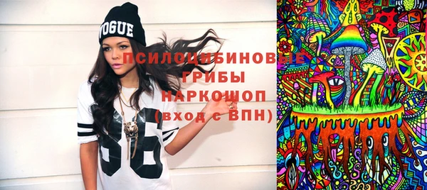 шишки Нефтекумск