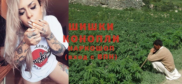 ГАЛЛЮЦИНОГЕННЫЕ ГРИБЫ Алексеевка