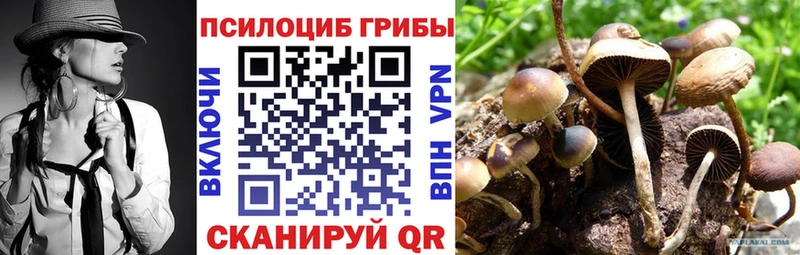 Галлюциногенные грибы прущие грибы  где продают   Туринск 